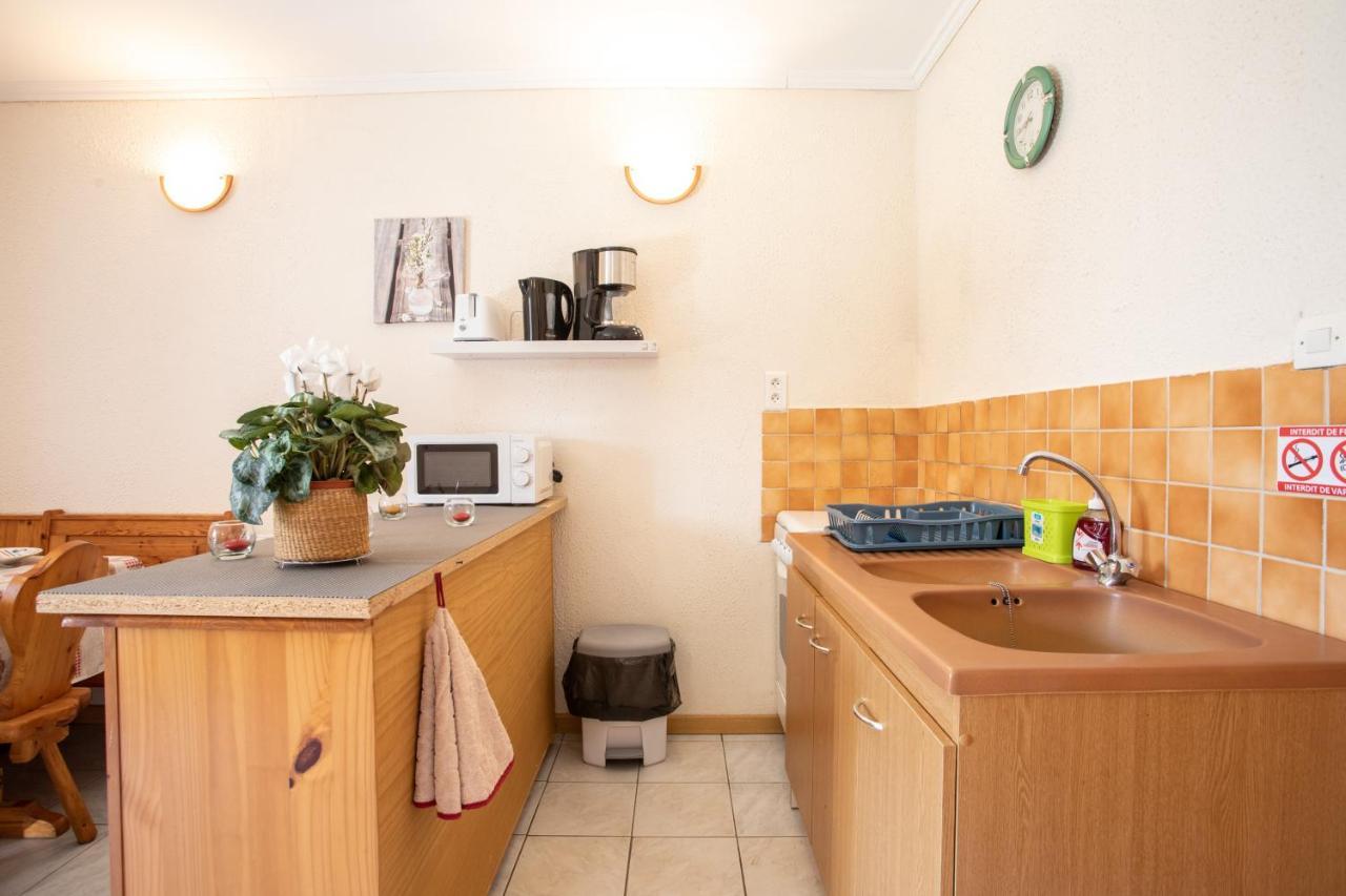 Appartamento La Durance - 1 Chambre Terrasse Et Jardin Saint-André-dʼEmbrun Esterno foto